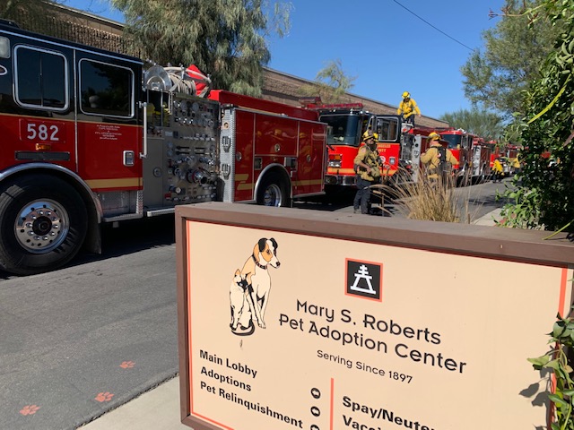 Firefighters Daring Rescue of Animal Adoption Center