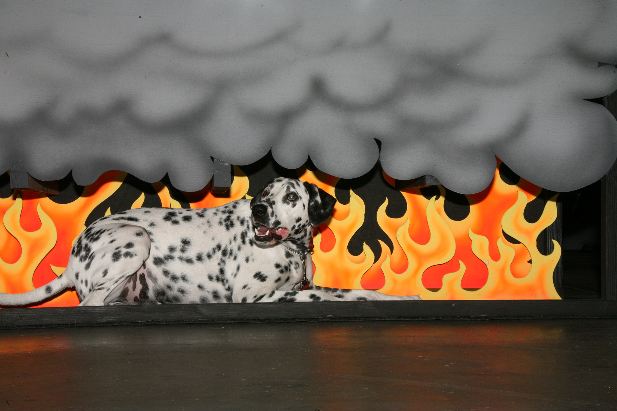 Wilshire the Fire Dog Teaches Fire Safety